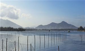 2022水產(chǎn)養(yǎng)殖行業(yè)發(fā)展趨勢及市場現(xiàn)狀分析