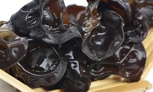 黑木耳行業(yè)發(fā)展現(xiàn)狀分析 立體化綠色有機(jī)栽培成為主流