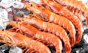 冷凍食品市場(chǎng)規(guī)模將突破1900億元 冷凍食品市場(chǎng)現(xiàn)狀分析