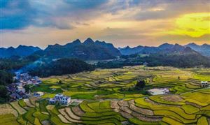 中國鄉(xiāng)村振興戰(zhàn)略產(chǎn)業(yè)現(xiàn)狀及發(fā)展規(guī)劃分析