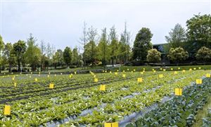 智能農(nóng)機(jī)助力智慧農(nóng)業(yè) 智慧農(nóng)業(yè)行業(yè)市場(chǎng)現(xiàn)狀如何?