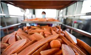 2022年紅薯深加工行業(yè)發(fā)展前景及市場方向分析