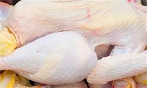 雞肉價(jià)格有望持續(xù)走強(qiáng) 雞肉價(jià)格上漲對飼料有何影響