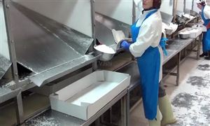 2022年水產(chǎn)品加工行業(yè)發(fā)展趨勢及市場規(guī)模調(diào)研分析
