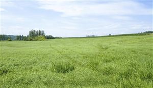 2022全球除草劑市場份額與價格發(fā)展趨勢