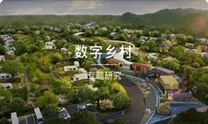 2022年數(shù)字鄉(xiāng)村市場調研 數(shù)字鄉(xiāng)村行業(yè)發(fā)展趨勢及市場規(guī)模分析