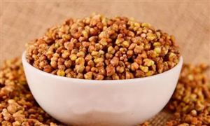 中國蕎麥茶行業(yè)深度調(diào)研及投資前景