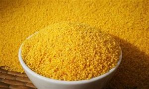 野生綠色食品市場前景及供需格局