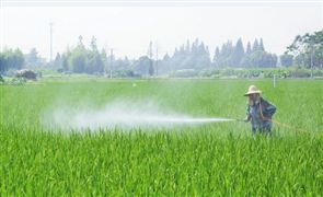 農(nóng)藥板塊持續(xù)景氣  2022中國農(nóng)藥行業(yè)市場全面分析