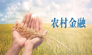 農(nóng)村金融體系市場調(diào)研 農(nóng)村金融體系行業(yè)發(fā)展前景及趨勢分析
