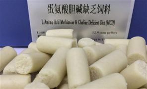 蛋氨酸行業(yè)市場現(xiàn)狀分析 當前蛋氨酸市場供應良好