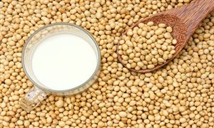豆奶行業(yè)競爭格局如何 豆奶行業(yè)市場全景調(diào)研