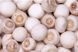 2022中國食用菌行業(yè)產(chǎn)量和出口現(xiàn)狀分析