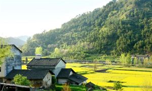 上海市“十四五”節(jié)能減排綜合工作實施方案 到2025年單位生產(chǎn)總值能源消耗比2020年下降14%