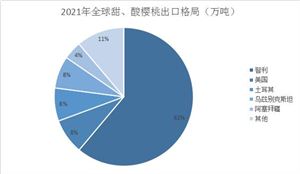 行業(yè)分析 中國車?yán)遄有袠I(yè)市場規(guī)劃分析報(bào)告2022