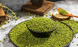 綠豆產(chǎn)業(yè)發(fā)展 綠豆產(chǎn)業(yè)種植面積及加工情況分析