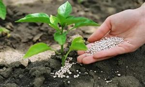 國內(nèi)化學(xué)肥料行業(yè)利用率及生產(chǎn)貿(mào)易情況分析