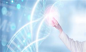 醫(yī)療信息化加速 上市公司訂單充足 未來我國醫(yī)療信息化行業(yè)發(fā)展分析