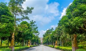 中國陵園墓地產(chǎn)業(yè)鏈發(fā)展現(xiàn)狀 陵園墓地行業(yè)市場發(fā)展空間分析