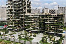 2025城鎮(zhèn)新建建筑全面建成綠色建筑 綠色建材的推廣應(yīng)用情況