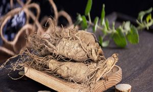 2023中國人參種植行業(yè)發(fā)展前景分析