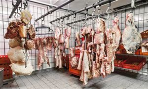 羊肉行業(yè)市場多大?羊肉表觀消費(fèi)量及行業(yè)發(fā)展趨勢分析2023
