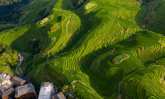中國特色農(nóng)業(yè)旅游行業(yè)消費(fèi)需求 中國特色農(nóng)業(yè)旅游行業(yè)發(fā)展趨勢(shì)預(yù)測(cè)