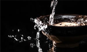 茅臺、洋河、習(xí)酒紛紛入局 百元價位爭奪戰(zhàn)打響 未來白酒行業(yè)趨勢分析