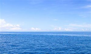 東北大利好!吉林打通出海口 沿海運(yùn)輸行業(yè)發(fā)展分析與投資前景預(yù)測2023