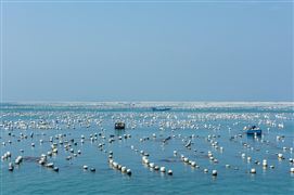2023海洋經(jīng)濟產(chǎn)業(yè)結構與高質量發(fā)展空間