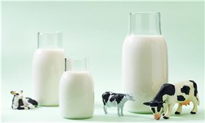 蒙牛乳業(yè)寧夏工廠正式落成投產 為全球首座乳業(yè)全數智化工廠