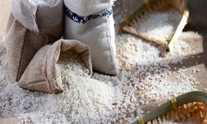 取消大規(guī)模進(jìn)口訂單 糧食貿(mào)易行業(yè)市場到底多大 2023年糧食貿(mào)易行業(yè)產(chǎn)量需求分析