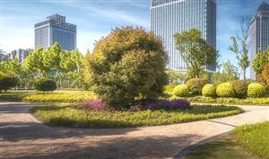中國海綿城市建設(shè)行業(yè)市場發(fā)展規(guī)劃2023