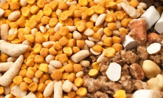 2023狗飼料行業(yè)市場運(yùn)行前景現(xiàn)狀分析