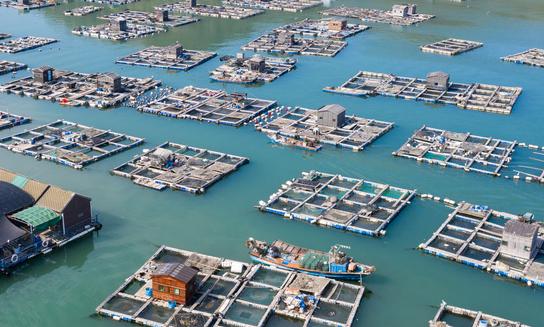 海洋養(yǎng)殖行業(yè)未來發(fā)展前景如何？2023年海洋養(yǎng)殖行業(yè)深度分析