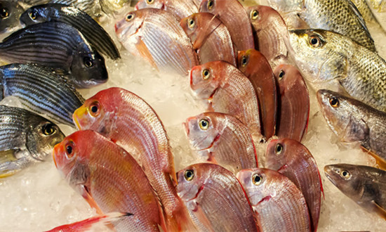 淡水魚苗進(jìn)口如何及淡水魚養(yǎng)殖相關(guān)企業(yè)發(fā)展分析