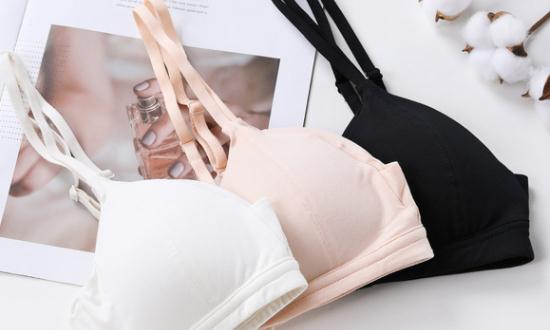 女性?xún)?nèi)衣市場(chǎng)需求與發(fā)展趨勢(shì)分析報(bào)告2023