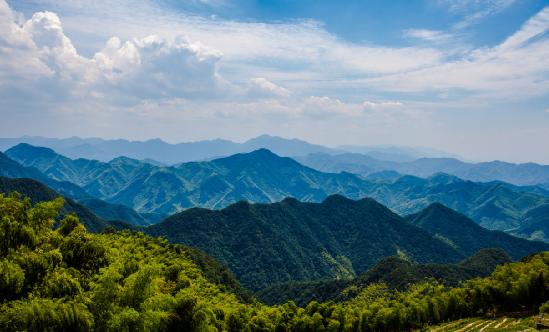 森林防火行業(yè)現(xiàn)狀 “十四五”時(shí)期森林防火行業(yè)發(fā)展研究