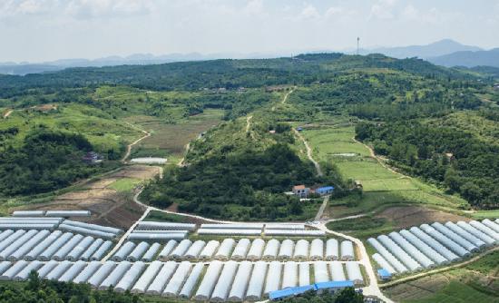 農(nóng)村基本建設(shè)行業(yè)現(xiàn)狀及發(fā)展趨勢分析2023