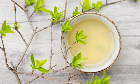 全球茶多酚市場規(guī)模將達到24.96億元 2023年茶多酚行業(yè)發(fā)展現(xiàn)狀