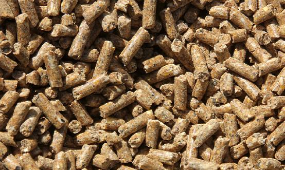 中國高蛋白飼料行業(yè)深度調研報告2023