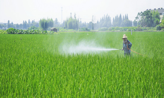 生物農(nóng)藥行業(yè)市場(chǎng)機(jī)遇分析 生物農(nóng)藥+化學(xué)農(nóng)藥引領(lǐng)植保市場(chǎng)未來(lái)