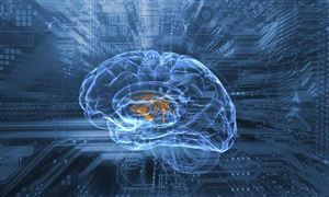 馬斯克腦機接口項目受追捧 有望成為人機交互新方式 腦科學(xué)與類腦研究市場分析