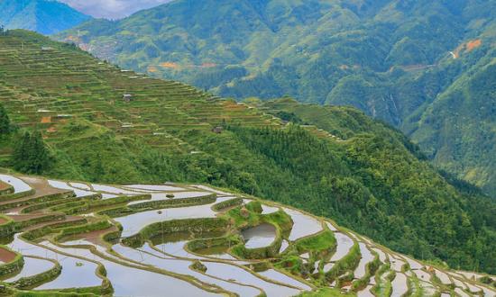 《國內(nèi)旅游提升計劃(2023—2025年)》:到2025年國內(nèi)旅游市場規(guī)模保持合理增長、品質(zhì)進(jìn)一步提升