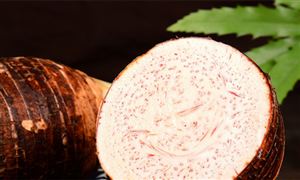 芋頭行業(yè)種植面積、產(chǎn)量及發(fā)展現(xiàn)狀分析