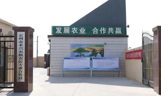 供銷合作社行業(yè)發(fā)展現狀分析及投資：打造農資流通服務主渠道