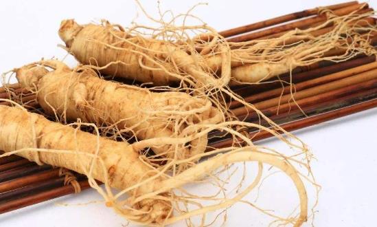 人參種植市場(chǎng)格局及發(fā)展前景研究