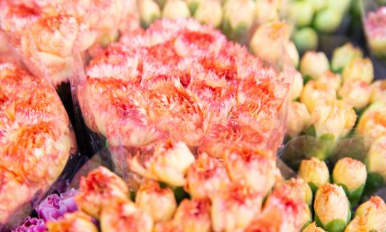 2024鮮切花行業(yè)市場發(fā)展現狀 鮮切花行業(yè)進出口市場分析