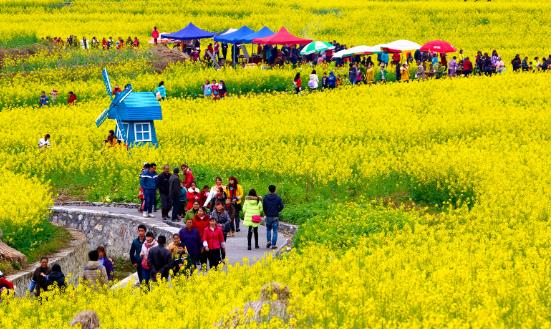 2024休閑農(nóng)業(yè)與鄉(xiāng)村旅游行業(yè)前景與趨勢(shì)：打造綠色低碳的農(nóng)業(yè)和旅游產(chǎn)業(yè)體系