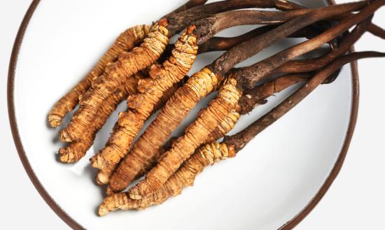 我國冬蟲夏草產(chǎn)業(yè)未來發(fā)展趨勢分析